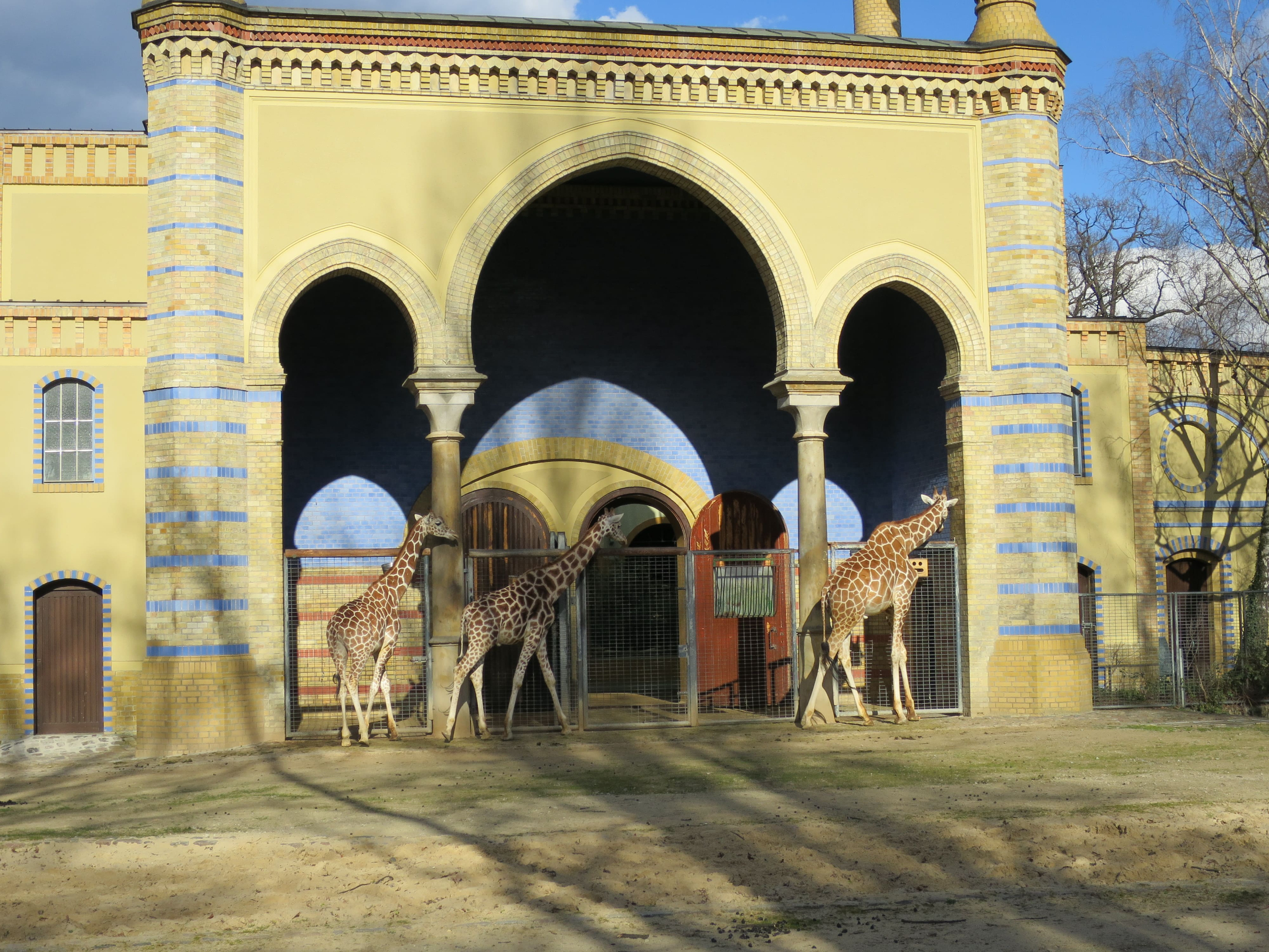 Tierpark Zoo  03